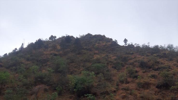 darlaghat-solan-news-23-2021