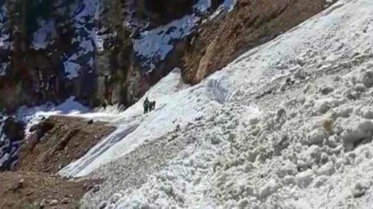 uttrakhand-bro-camp-india-24-april