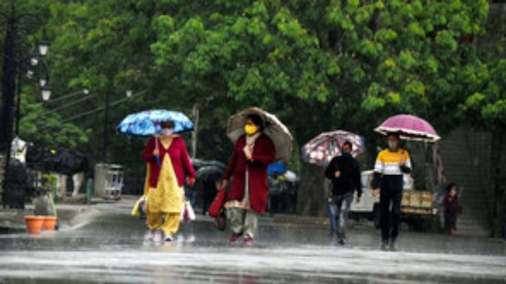  strategy to increase forest based economy