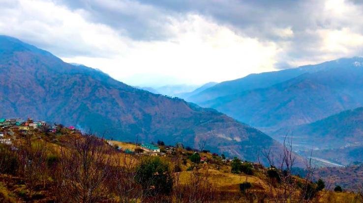 shimla himachal pradesh corona