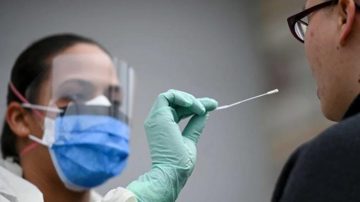 shimla himachal patients recovered from covid 