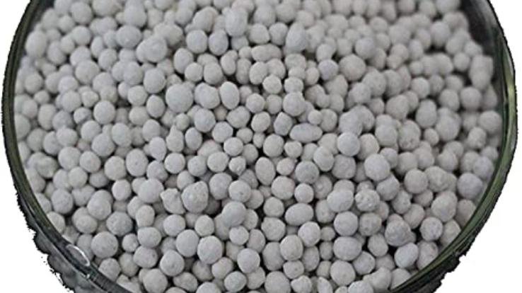 डीएपी पर सब्सिडी 500 रुपये प्रति बोरी से बढ़कर अब 1200 रुपये प्रति बोरी