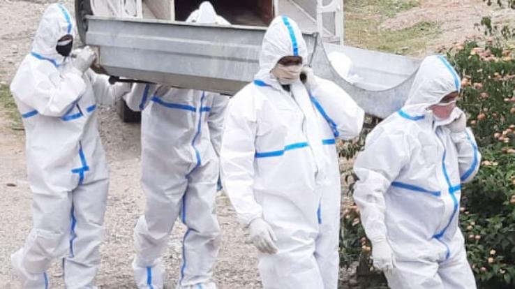 kangra-himachal-pradesh-corona-news-may-24-2021