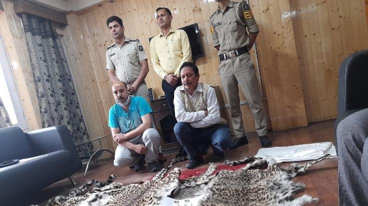  शिमला :तेंदुए की खाल की तस्करी को लेकर शिमला में दो आरोपी गिरफ्तार