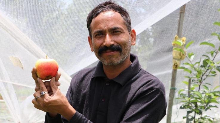 अर्की :राजेन्द्र ठाकुर ने 5800 फुट की ऊंचाई पर सेब उत्पादन कर पेश की मिसाल