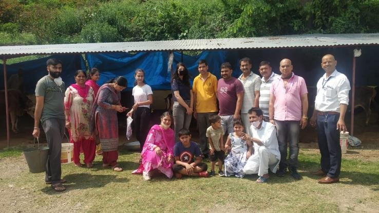 कुनिहार : नव चेतना संस्था कुनिहार की सदस्य ने गौवंश की सेवा करते हुए मनाया जन्मदिन 