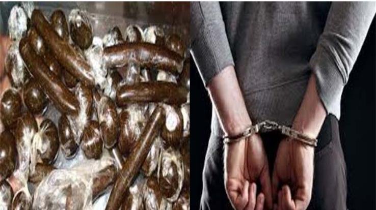 कुनिहार :टुकाड़ी गांव के युवक से 402 ग्राम चरस बरामद 