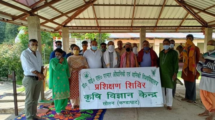  सोलन : कृषि विज्ञान केंद्र सोलन द्वारा आयोजित प्रशिक्षण शिविर में किसानों ने सीखे मशरूम उत्पादन के गुर