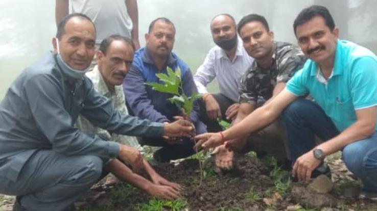 वन परिक्षेत्र दाड़लाघाट के बाड़ीधार परिसर में किया गया पौधरोपण