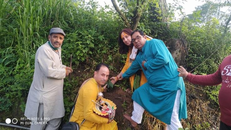 Kunihar: Plantation done in Shri Banke Bihari temple of Pattabaravari