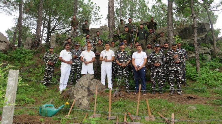 धर्मपुर: च्योग में मेघा वृक्षारोपण कार्यक्रम का आयोजन