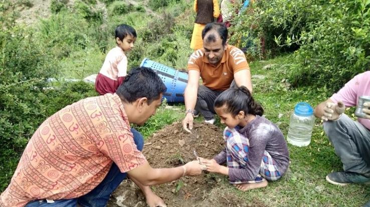 शिमला : उमंग ने मशोबरा के नजदीक किया पौधरोपण