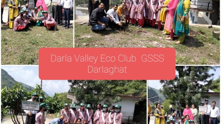 राजकीय वरिष्ठ माध्यमिक विद्यालय दाड़लाघाट में किया गया पौधरोपण