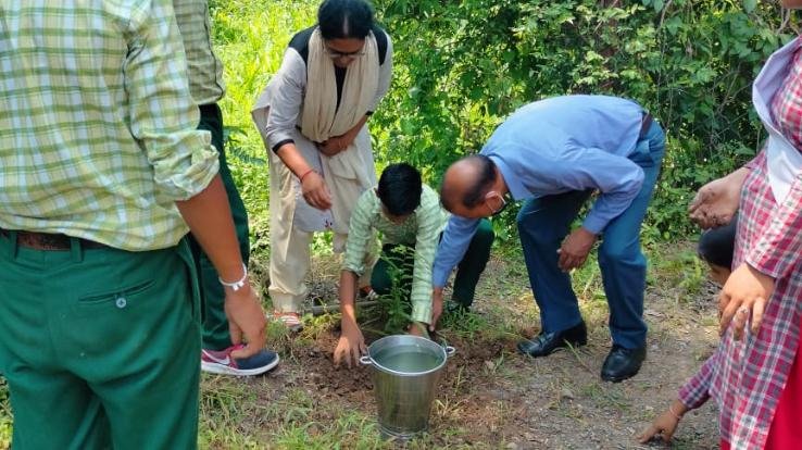कुनिहार : राजकीय वरिष्ठ माध्यमिक पाठशाला पट्टाबरौरी में किया गया पौधरोपण