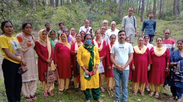 solan himachal darlaghat ghnagughat august 2021 7 