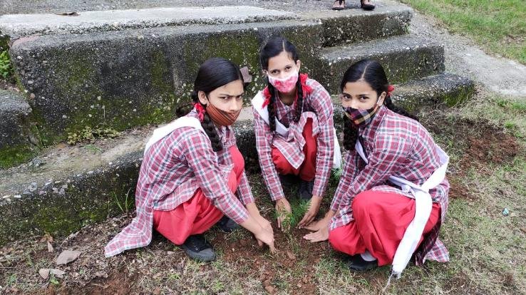 दाड़लाघाट : राजकीय उच्च पाठशाला कशलोग में किया गया पौधरोपण