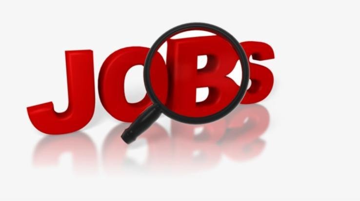 solan job news update 2021 16