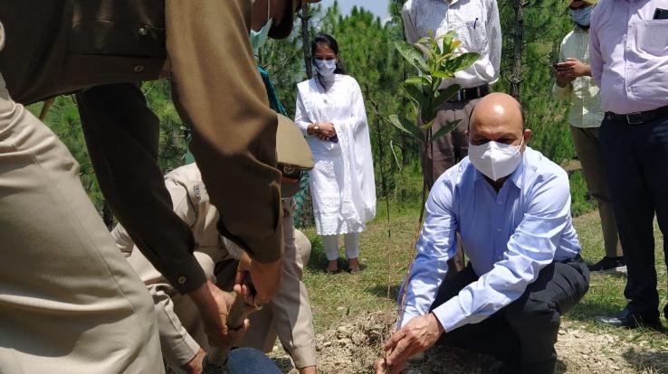 सोलन : जिला विधिक सेवाएं प्राधिकरण द्वारा किया गया पौधरोपण