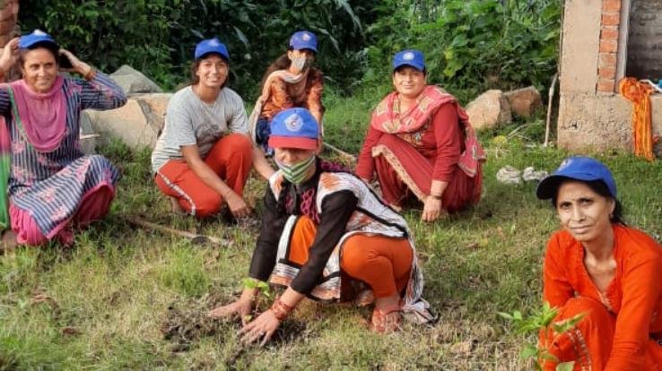 Plantation program organized in Dhundhan village