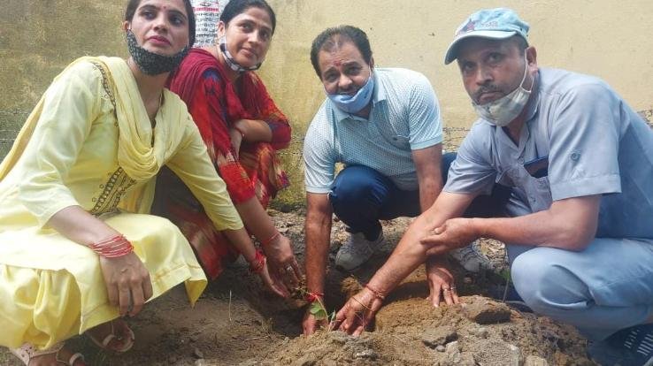 Kangra: Vanmahosatva program started in Primary School Dehra