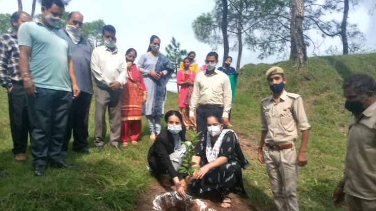 सोलन : मंडोधार में पौधरोपण कार्यक्रम आयोजित