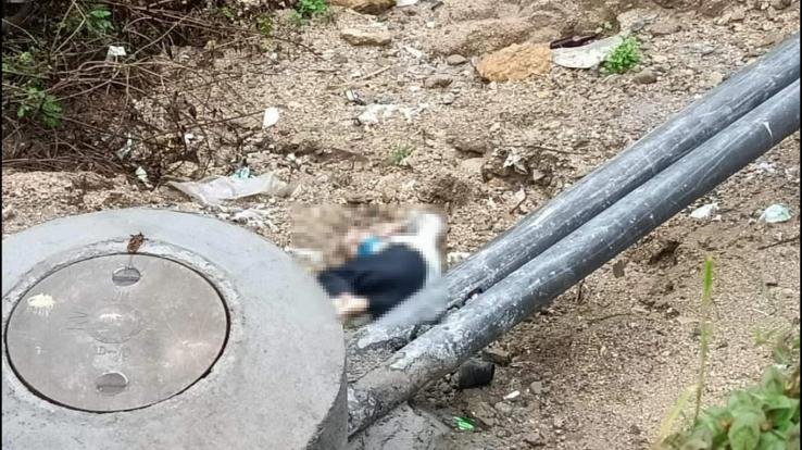 palampur-news-11/09/2021