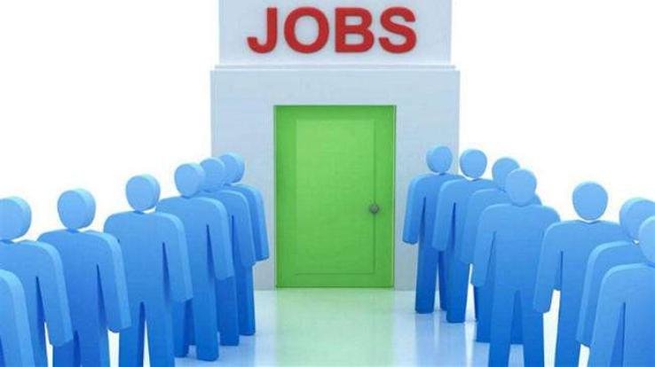 शिमला : रिक्त पदों को भरने के लिए वाक इन इंटरव्यू - क्षेत्रीय रोजगार अधिकारी अंकुष कुमार