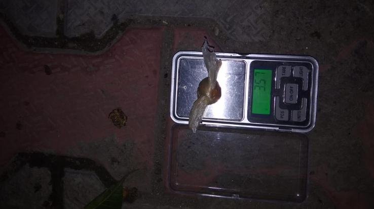 ज्वालामुखी:20 वर्षीय युवक से पकड़ी 3.57 ग्राम हीरोइन