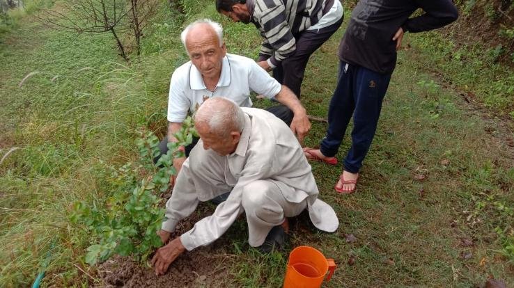 शिमला : 104 और 103 वर्षीय बुजुर्गों ने किया पौधरोपण
