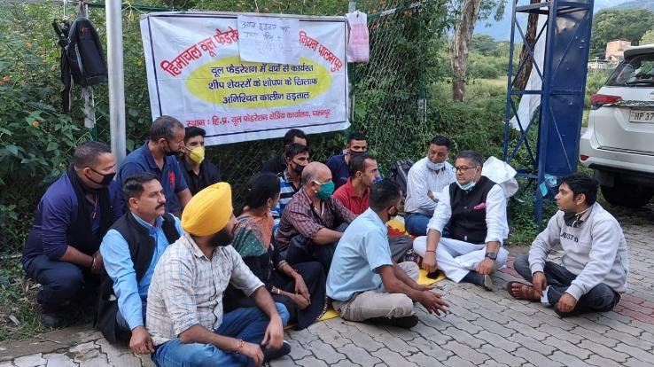 पालमपुर : विधायक ने की हड़ताल पर बैठे Sheep Shearers से मुलाकात