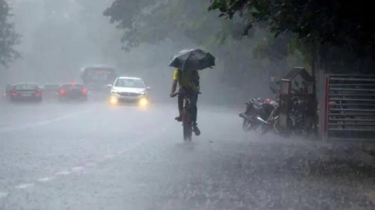 Andhra Pradesh: Torrential rain washed away water on Bharat Bandh