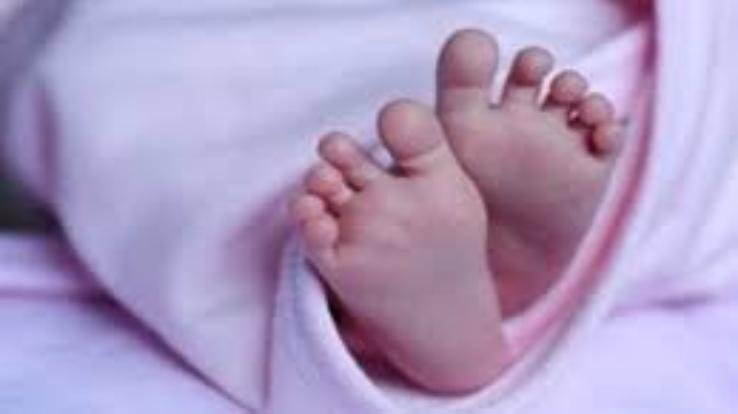 Solan: Newborn found unclaimed on the steps of the temple