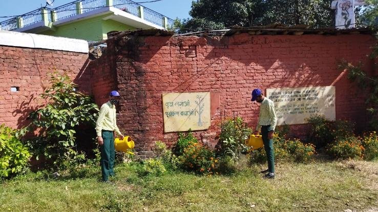 Dadlaghat: Plantation program organized in Government Senior Secondary School, Navgaon