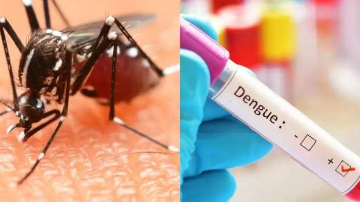 Dengue havoc continues in Haryana, five-year record in dengue cases broken