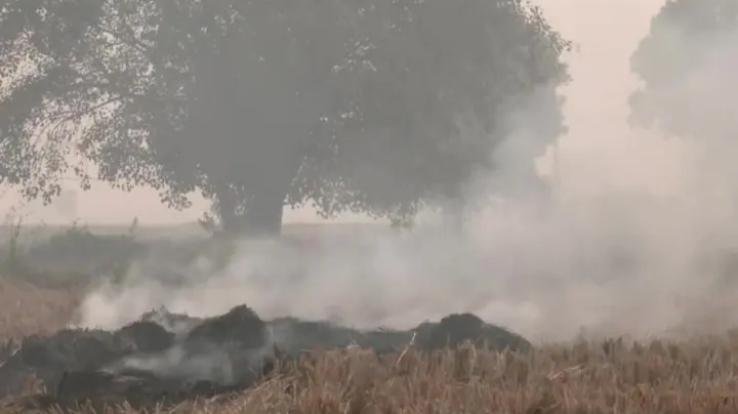 Stubble burnt in Singhu village of Delhi, pollution reached dangerous level