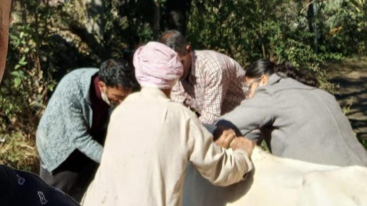 Dadlaghat: Animal Husbandry Department team reached Gram Panchayat Rauri to check animals