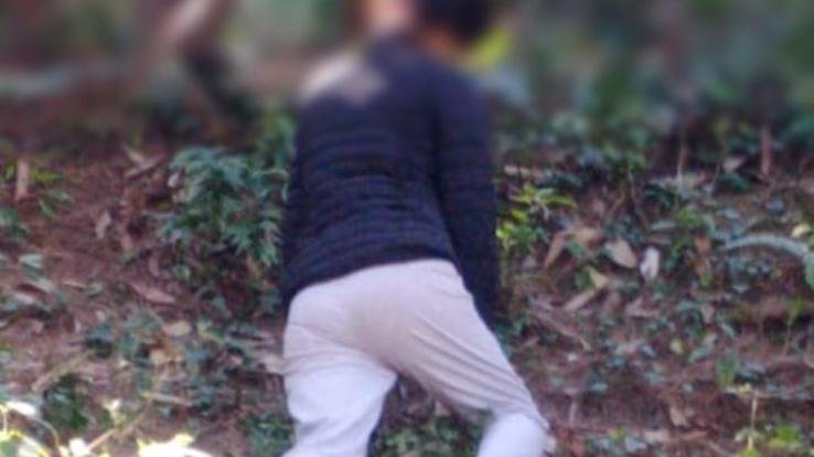 Shimla: Zilla Parishad member commits suicide by hanging