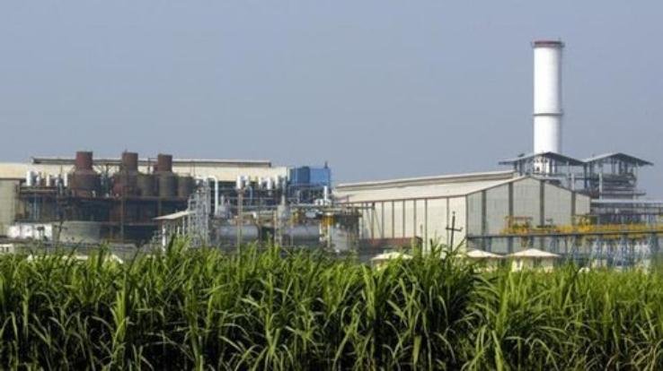 Indore: Sugar mill Mukerian will start crushing sugarcane from November 28, atmosphere of happiness among the farmers of Mand area