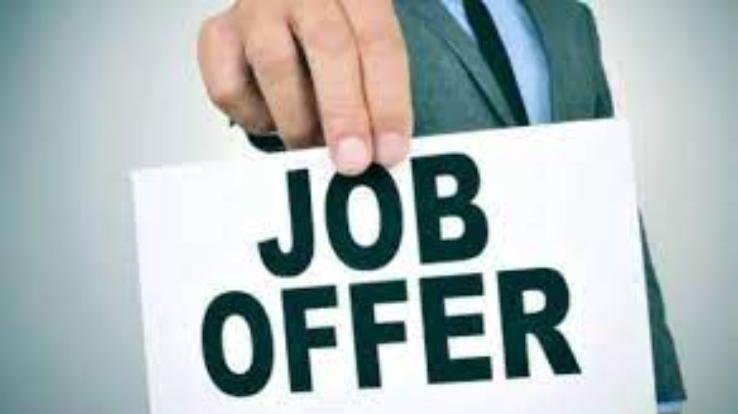 Solan: Campus interview for 313 posts will be held on 29th December