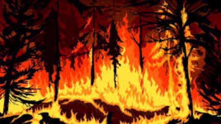 ज्वालामुखी: सुंधगल में व्यक्ति ने जलाए 5 घास में कुन्नू व तोड़े 2 सरकारी बेंच, मामला दर्ज