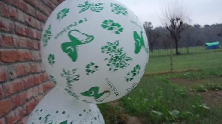 ज्वालामुखी: अधवानी में मिले आई लव पाकिस्तान के गुबारे