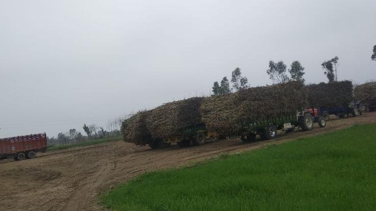 इंदौरा : पंजाब के अमृतसर की शुगर मिल की मनमानी प्रदेश के शिक्षा विभाग पर पड़ रही है भारी, ग्राउंड बना दलदल