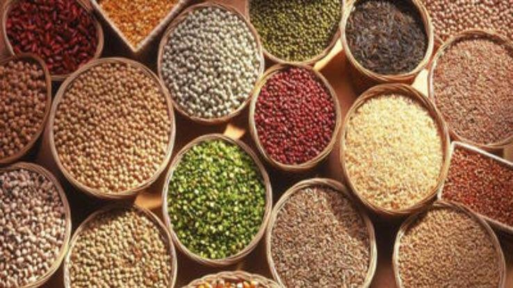  Dharamshala: Special emphasis on high quality of food items: Pankaj