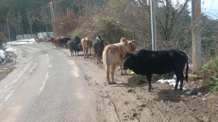 Foundation appeals to the administration to take concrete steps for the protection