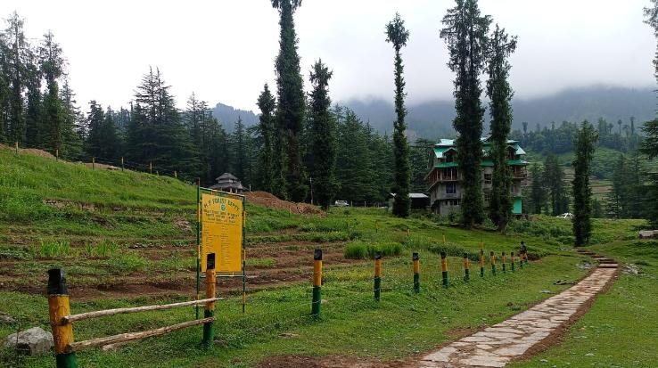 vaadi e bulah mein rajya ka pehla jaiv vividhata taiyaar vilupt hoti jadhi bootiyan ki hogi pechan