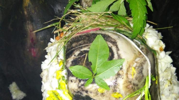 Kunihar: Devotees listened to Shiva Mahapuran story in Shiva Tandava Cave Kunihar