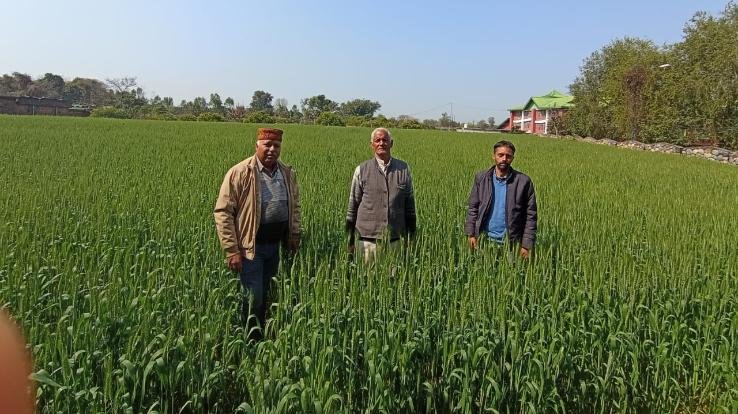 Farmer Ramesh Lal strengthened his economic condition with the schemes of Agriculture Department