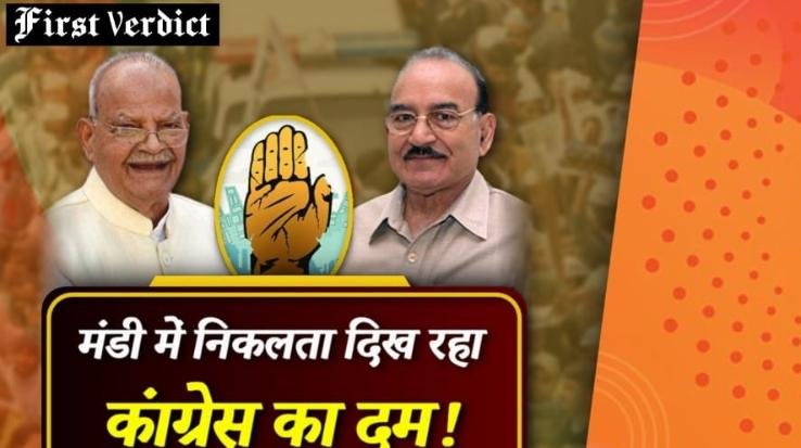 Congress's strength is visible in ten seats of district Mandi