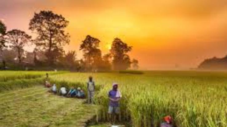  Farmers and gardeners will get 50 rupees cheap chemical fertilizer