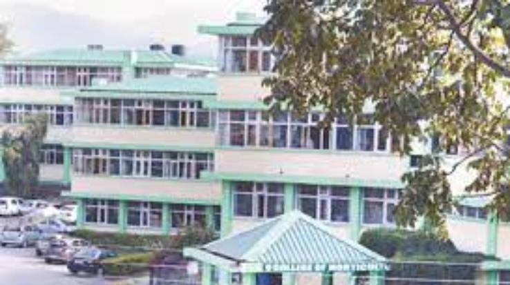 : Nauni University has announced the date of driving test and document evaluation